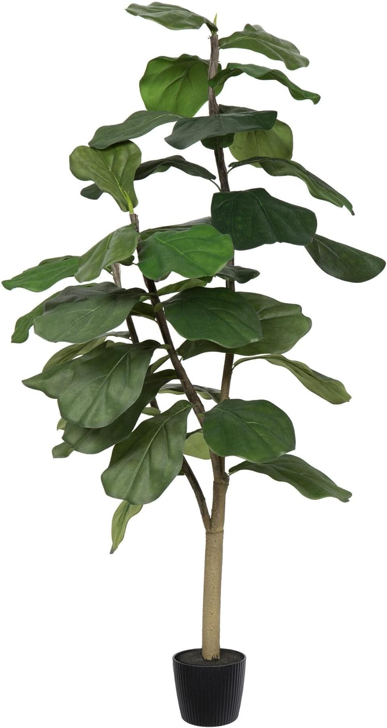 Vickerman 6ft Artificial Potted Fiddle Tree - 65 Large Fiddle Leaves - Tall - Green Silk Artificial Indoor Fiddle Plant - Single Stem - Home Office Decor - Faux Tree for Living Room