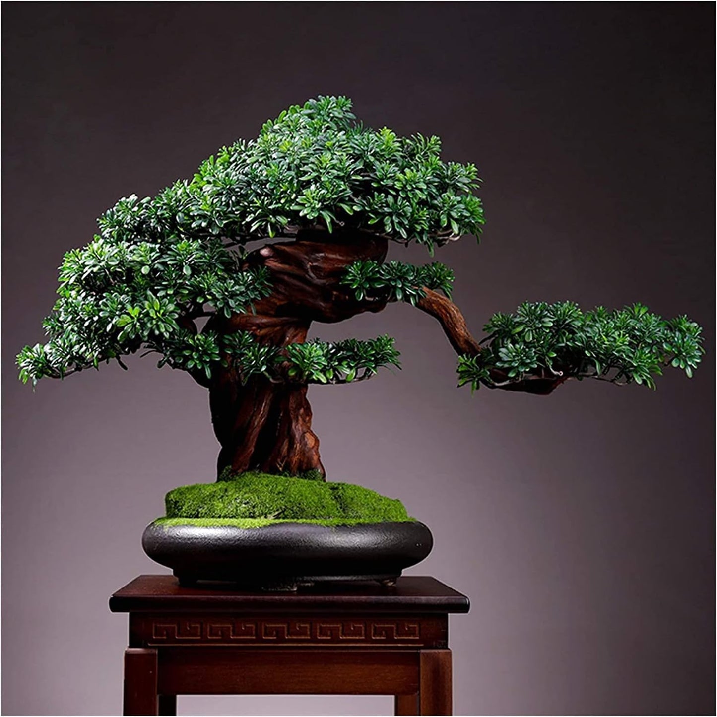 Artificial Bonsai Tree Indoor Welcome Pine Green Plant Potted Large Fake Tree Desktop Micro Landscape Decoration Gift for Living Room