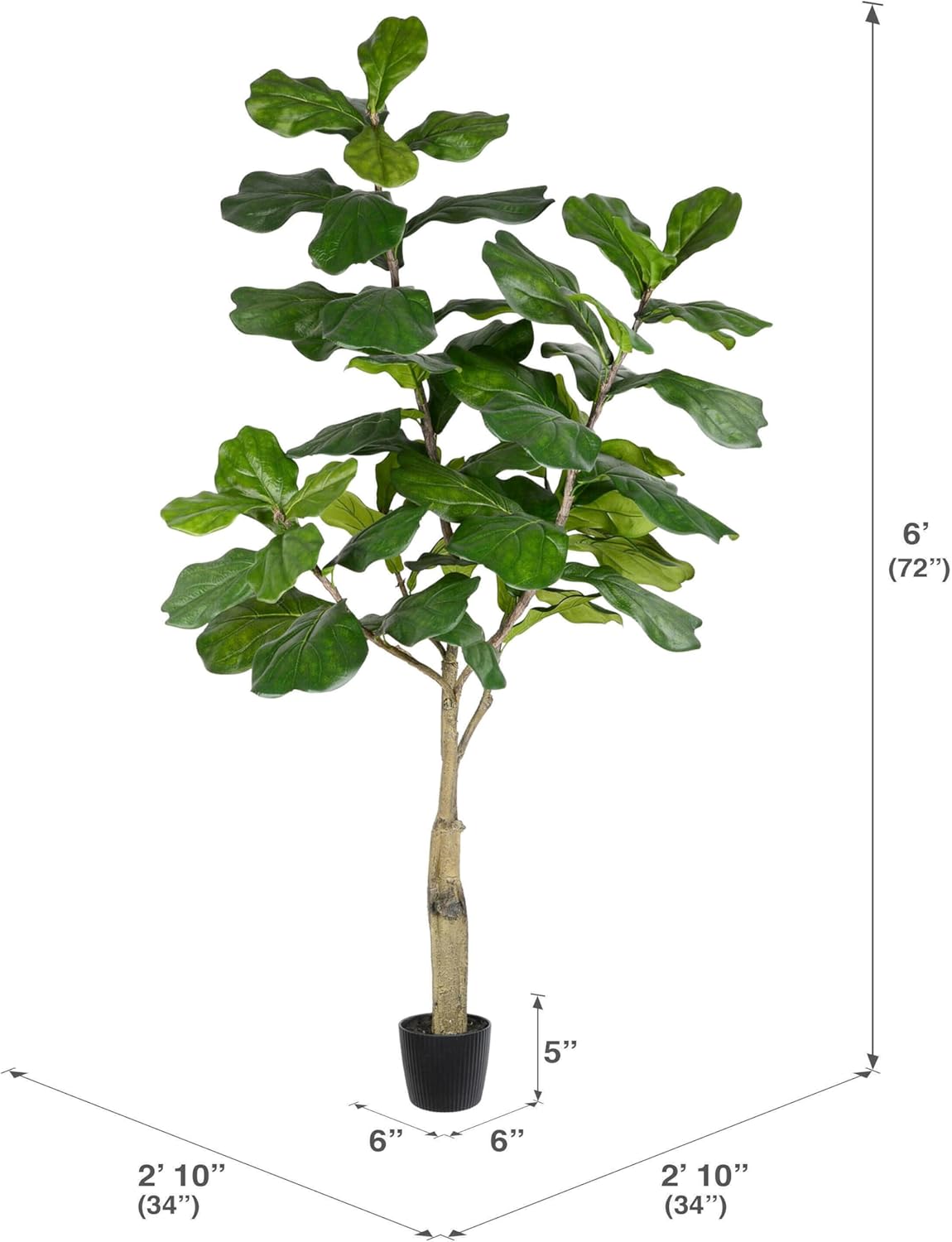 Vickerman 6ft Artificial Potted Fiddle Tree - 65 Large Fiddle Leaves - Tall - Green Silk Artificial Indoor Fiddle Plant - Single Stem - Home Office Decor - Faux Tree for Living Room