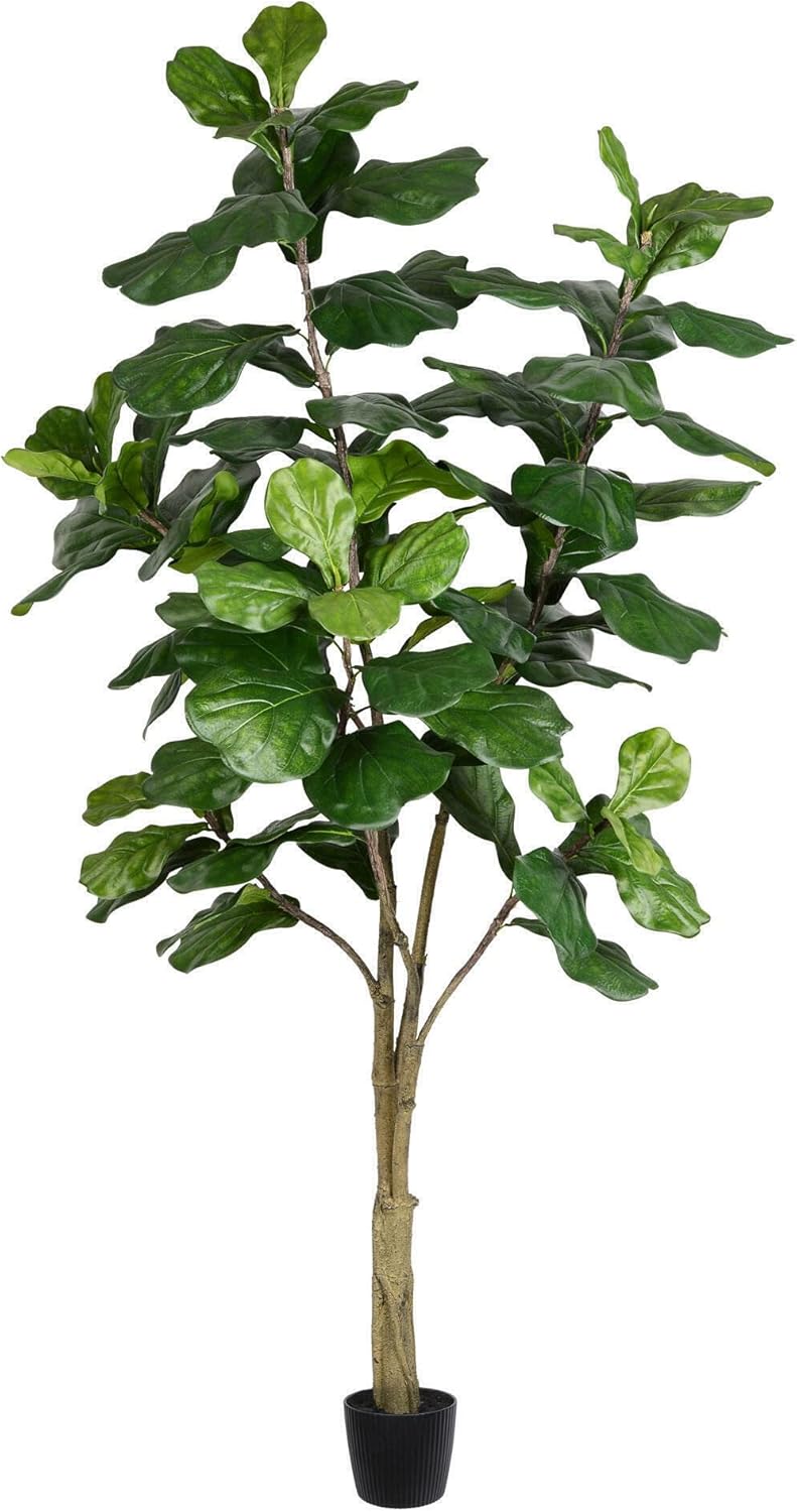 Vickerman 6ft Artificial Potted Fiddle Tree - 65 Large Fiddle Leaves - Tall - Green Silk Artificial Indoor Fiddle Plant - Single Stem - Home Office Decor - Faux Tree for Living Room