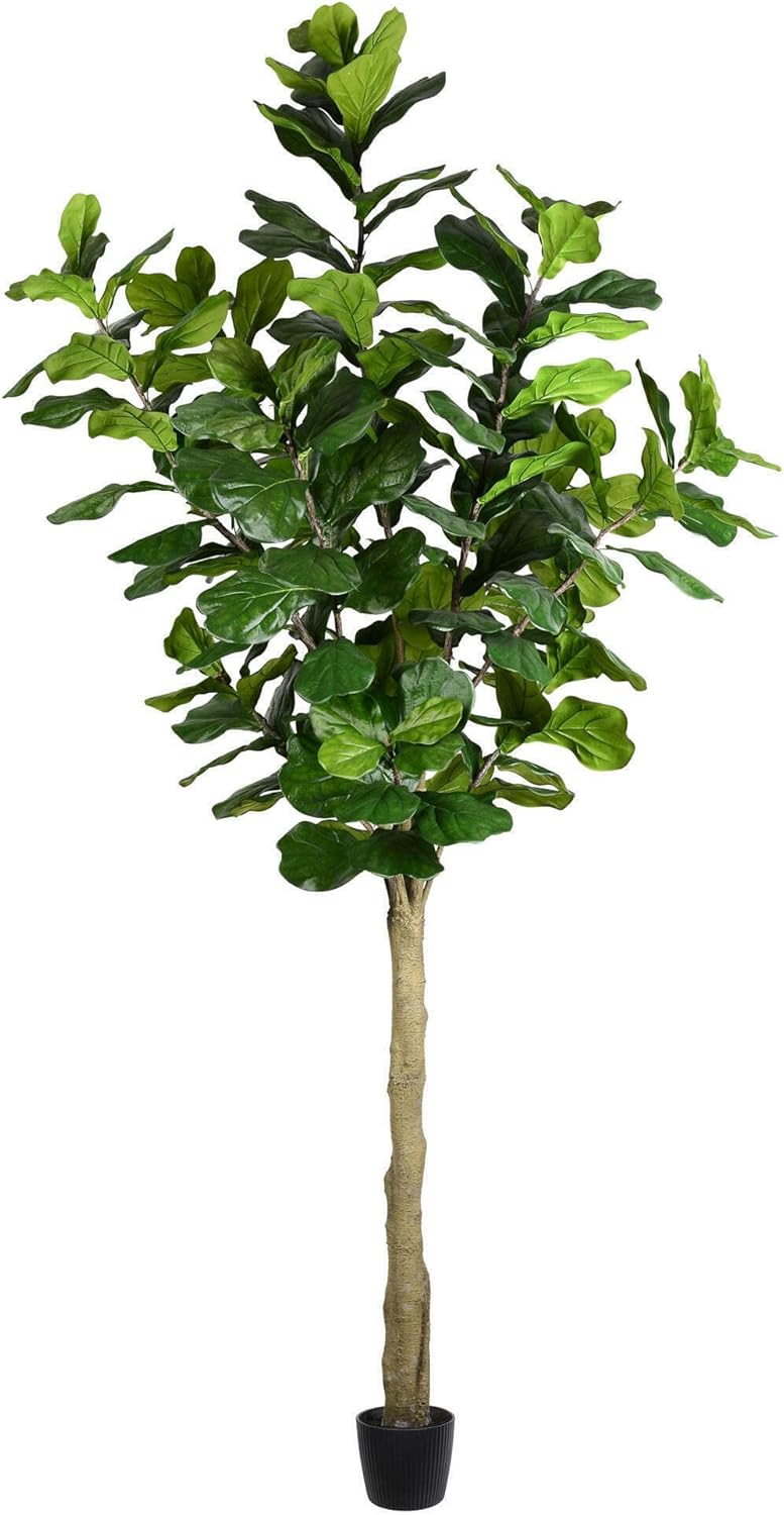Vickerman 6ft Artificial Potted Fiddle Tree - 65 Large Fiddle Leaves - Tall - Green Silk Artificial Indoor Fiddle Plant - Single Stem - Home Office Decor - Faux Tree for Living Room