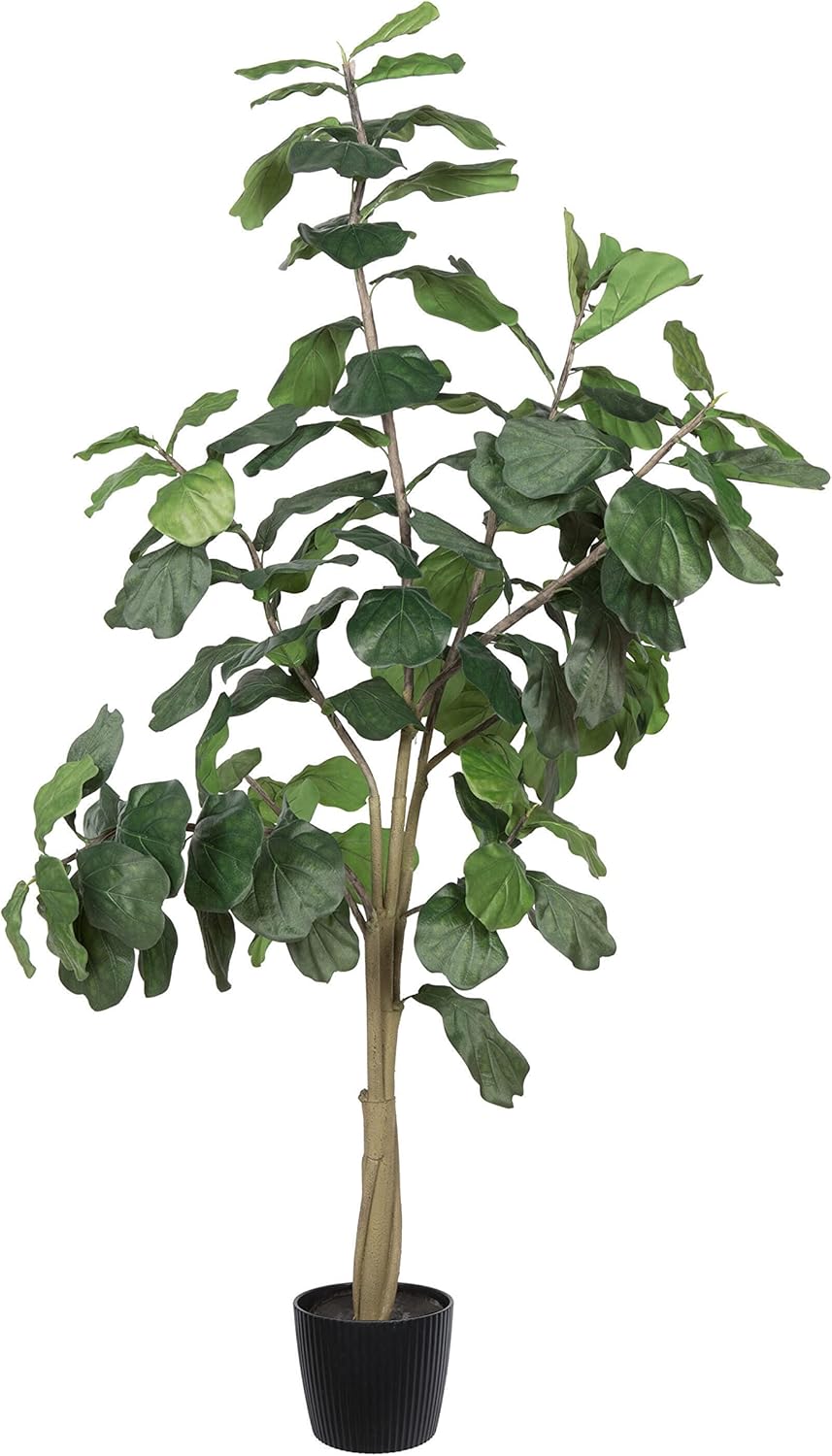 Vickerman 6ft Artificial Potted Fiddle Tree - 65 Large Fiddle Leaves - Tall - Green Silk Artificial Indoor Fiddle Plant - Single Stem - Home Office Decor - Faux Tree for Living Room