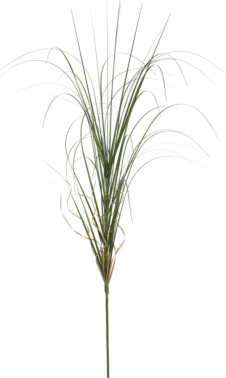 Vickerman 60" Tall PVC Artificial Potted Green Curled Grass Decor - Realistic Looking Greenery Decoration for Home Kitchen Business Office Arrangements