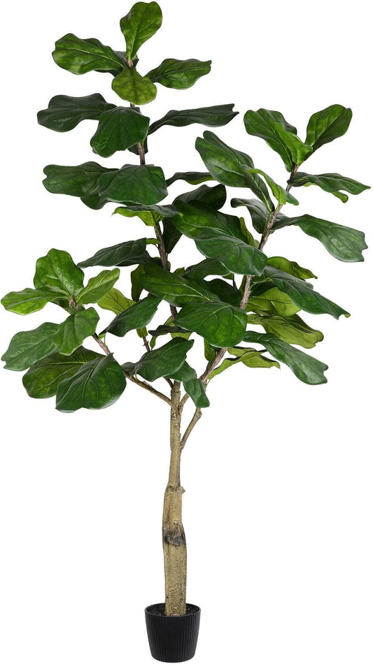 Vickerman 6ft Artificial Potted Fiddle Tree - 65 Large Fiddle Leaves - Tall - Green Silk Artificial Indoor Fiddle Plant - Single Stem - Home Office Decor - Faux Tree for Living Room