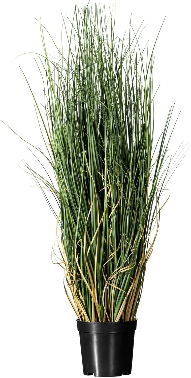 Vickerman 60" Tall PVC Artificial Potted Green Curled Grass Decor - Realistic Looking Greenery Decoration for Home Kitchen Business Office Arrangements