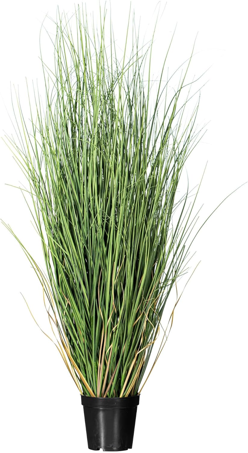 Vickerman 60" Tall PVC Artificial Potted Green Curled Grass Decor - Realistic Looking Greenery Decoration for Home Kitchen Business Office Arrangements